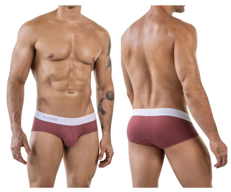 Clever 1863 Lecler Briefs Color Grape