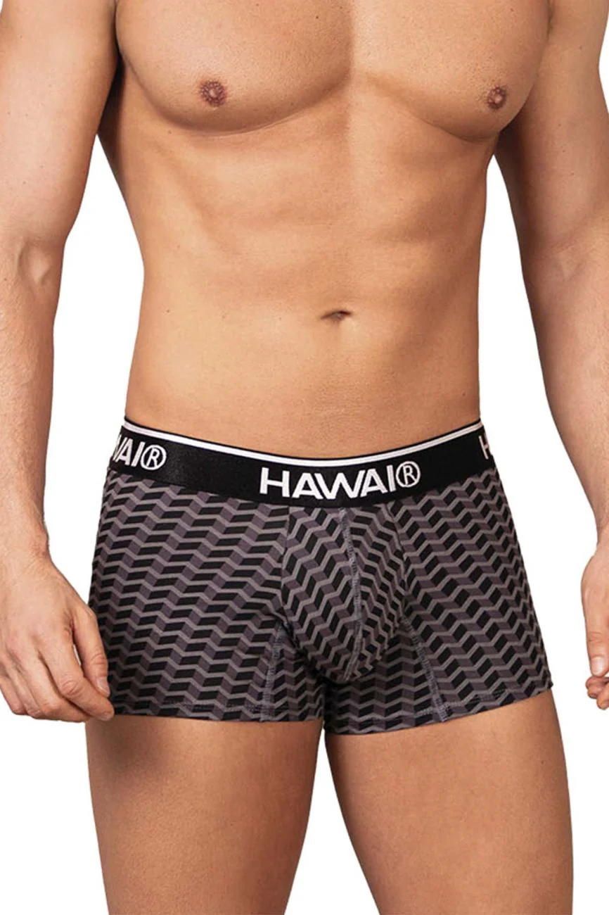 HAWAI 42371 Printed Trunks Color Gray - Image 2
