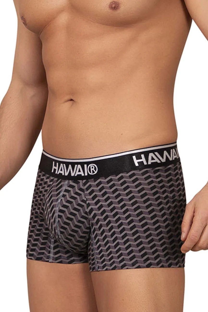 HAWAI 42371 Printed Trunks Color Gray - Image 4