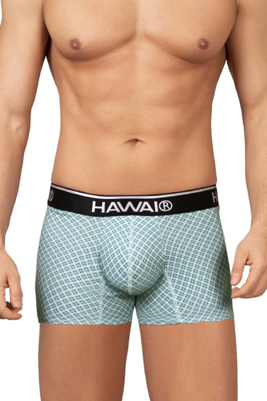HAWAI 42421 Printed Trunks Color Green - Image 2