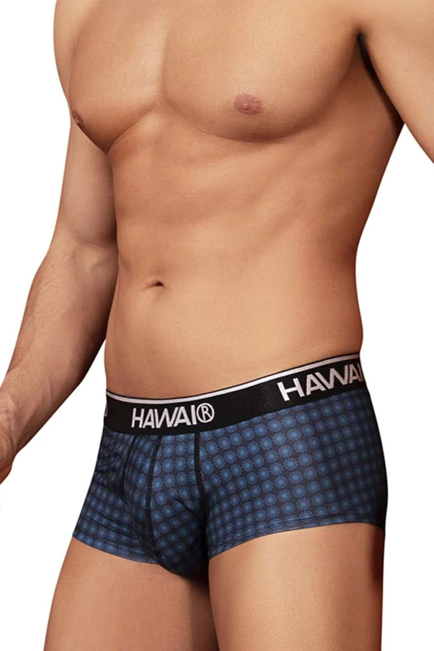 HAWAI 42430 Printed Briefs Color Blue - Image 4