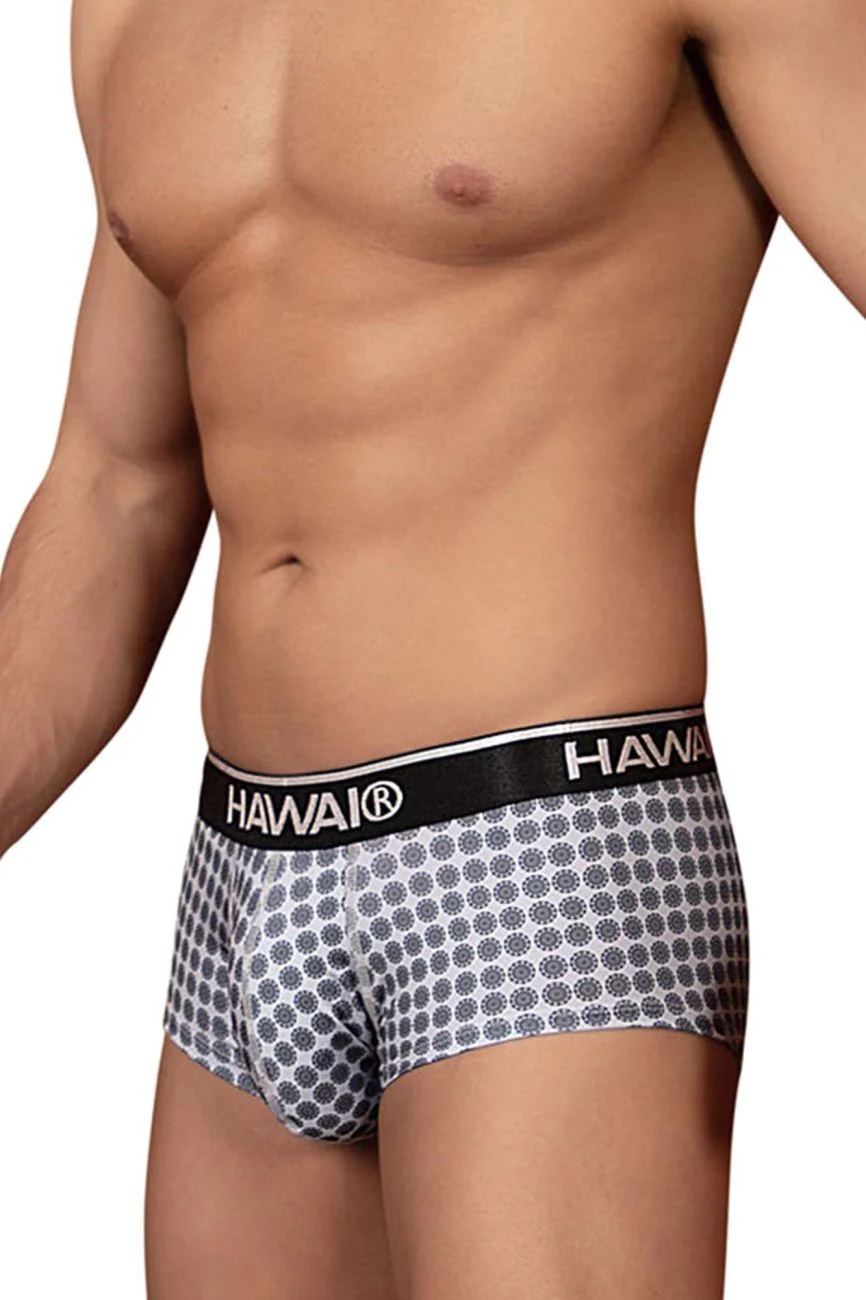 HAWAI 42430 Printed Briefs Color Gray - Image 4