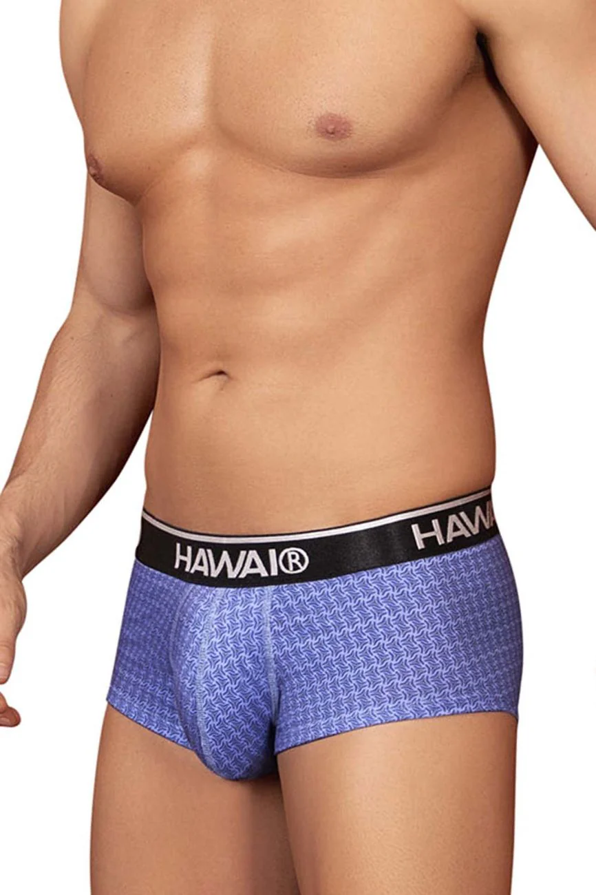 HAWAI 42431 Printed Briefs Color Blue - Image 4