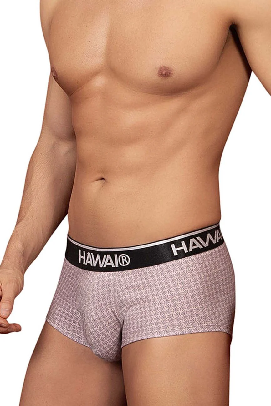 HAWAI 42431 Printed Briefs Color Cocoa - Image 4