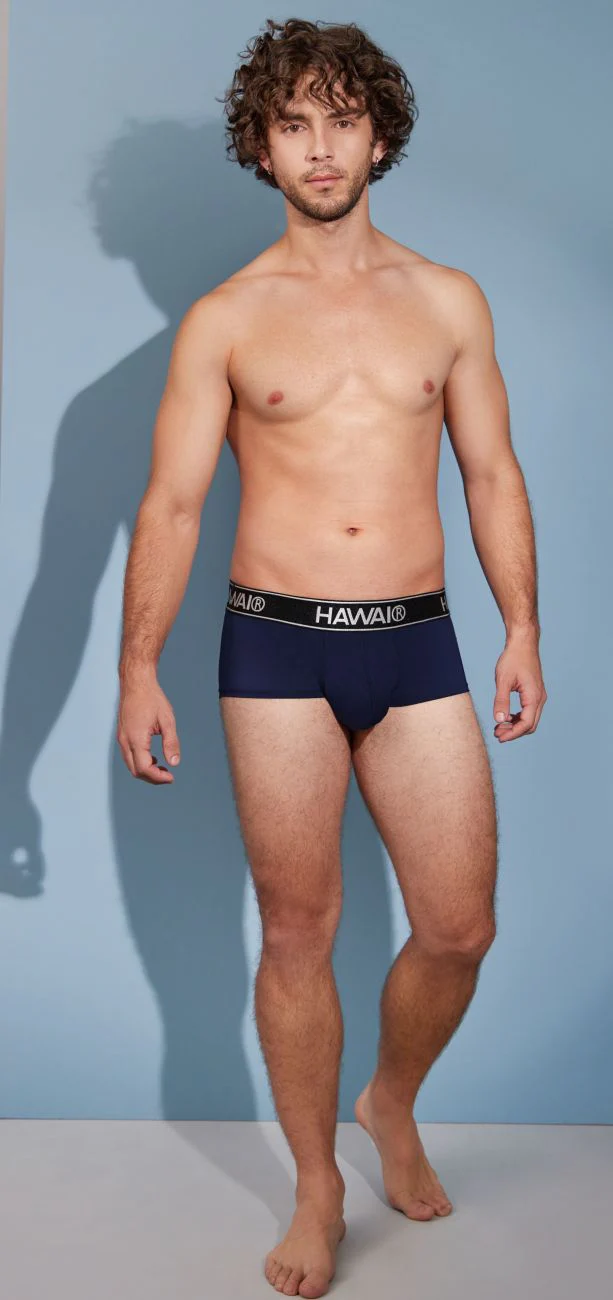 HAWAIR 41961 Microfiber Briefs Color Dark Blue - Image 11