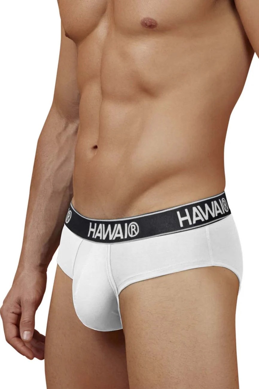 HAWAIR 41962 Cotton blend Briefs Color White-01 - Image 4