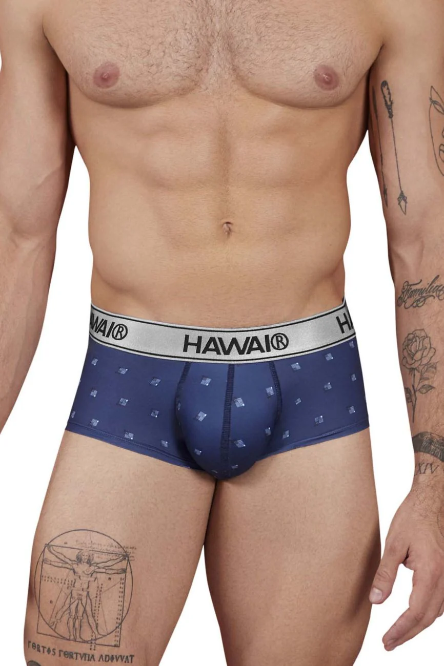 HAWAIR 42480 Printed Microfiber Briefs Color Blue - Image 2