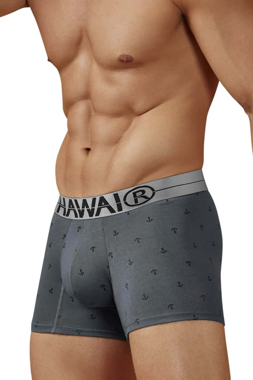 HAWAIR 42521 Cotton blend Trunks Color Gray - Image 4