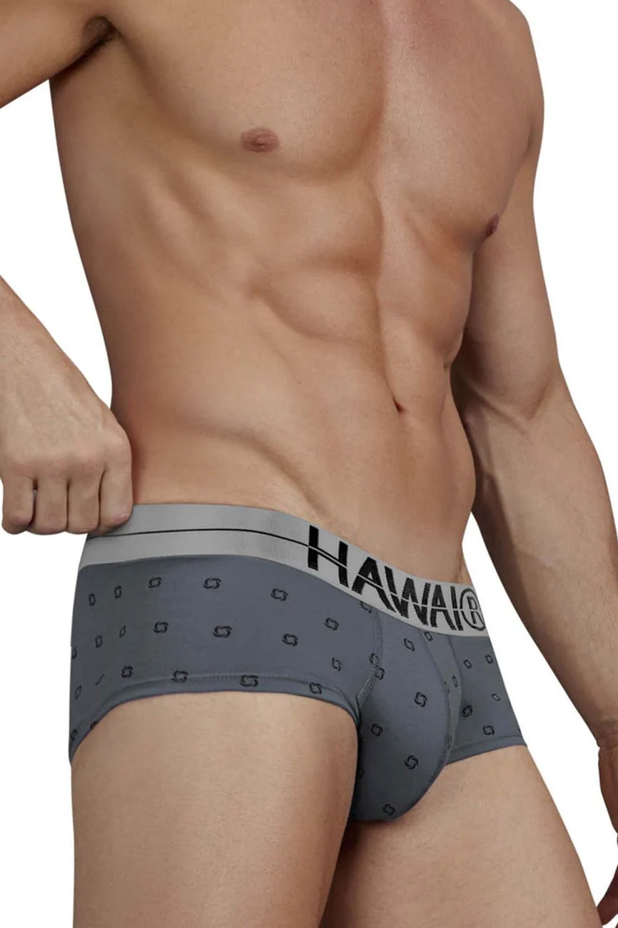 HAWAIR 42531 Cotton blend Briefs Color Gray - Image 4