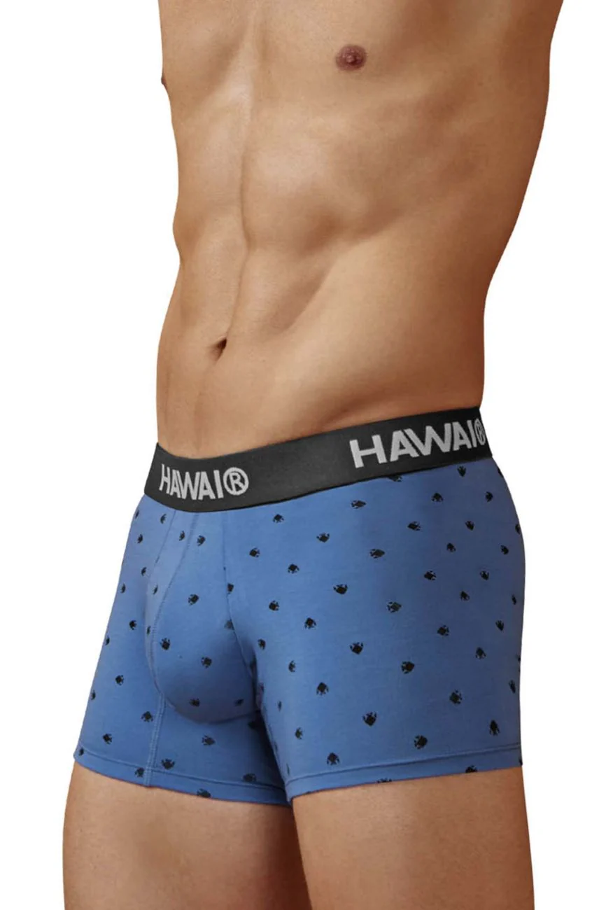 HAWAIR 42571 Cotton blend Trunks Color Blue Quartz - Image 4