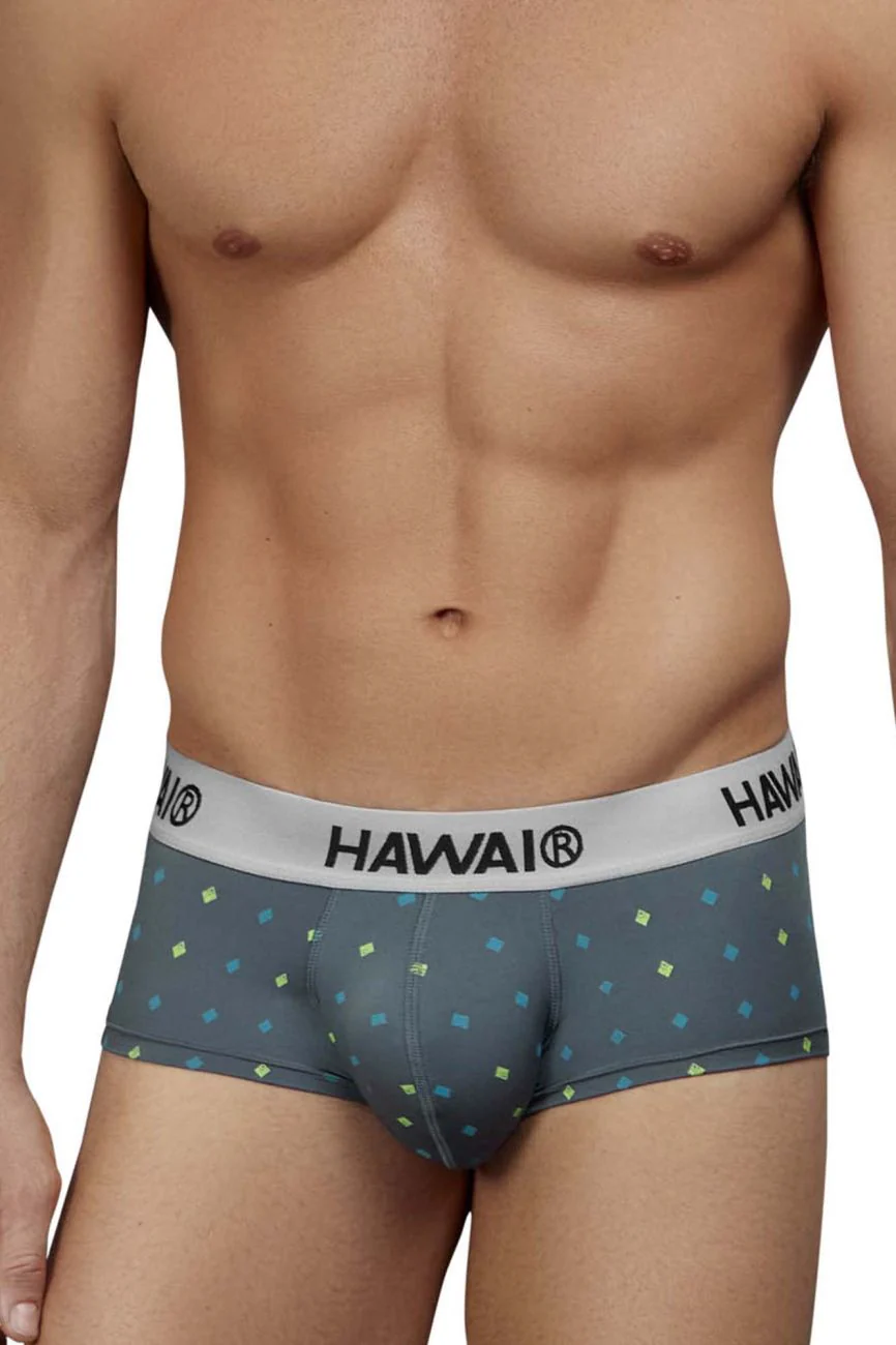 HAWAIR 42580 Microfiber Briefs Color Gray - Image 2