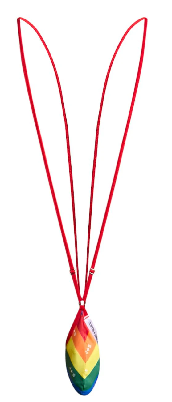 JUSTIN+SIMON XSJ04 Sling Color Pride Flag - Image 5
