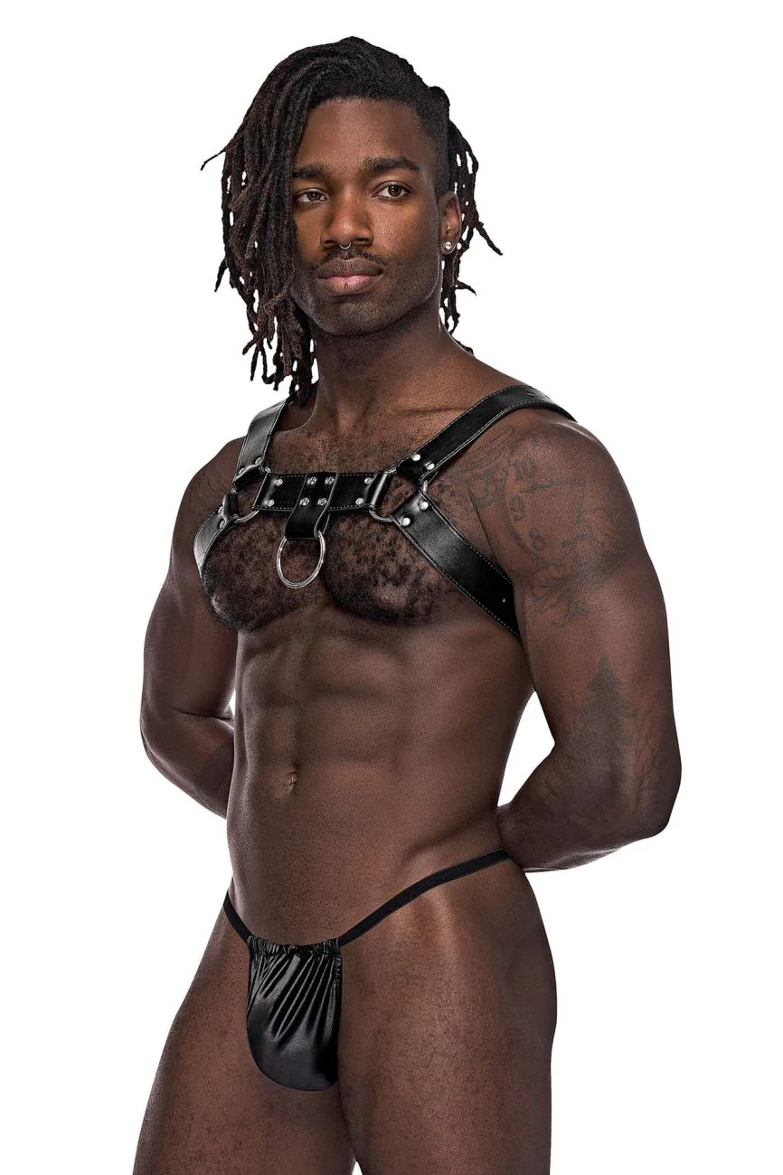 Male Power 590-266 Leather Aries Harness Color Black - Image 4