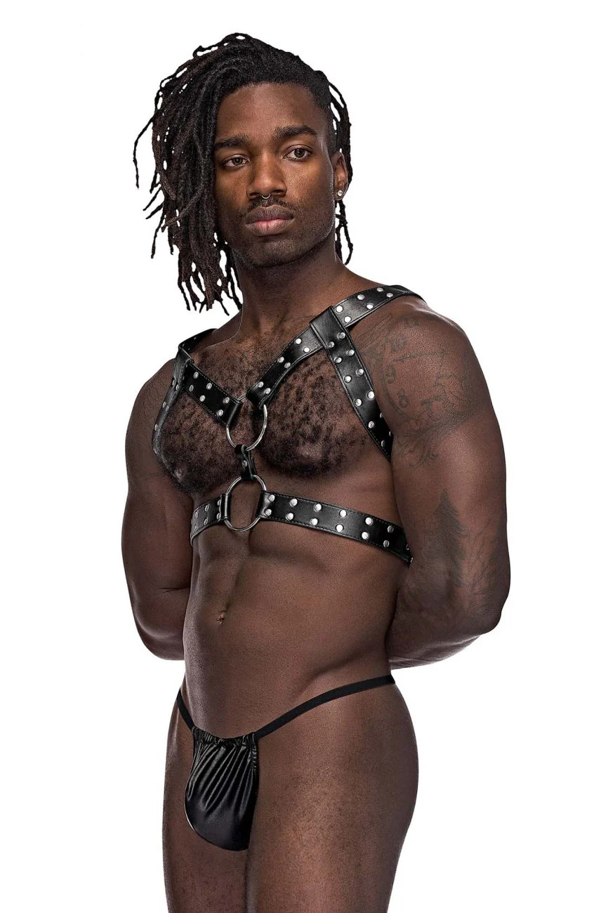 Male Power 591-266 Leather Gemini Harness Color Black - Image 4
