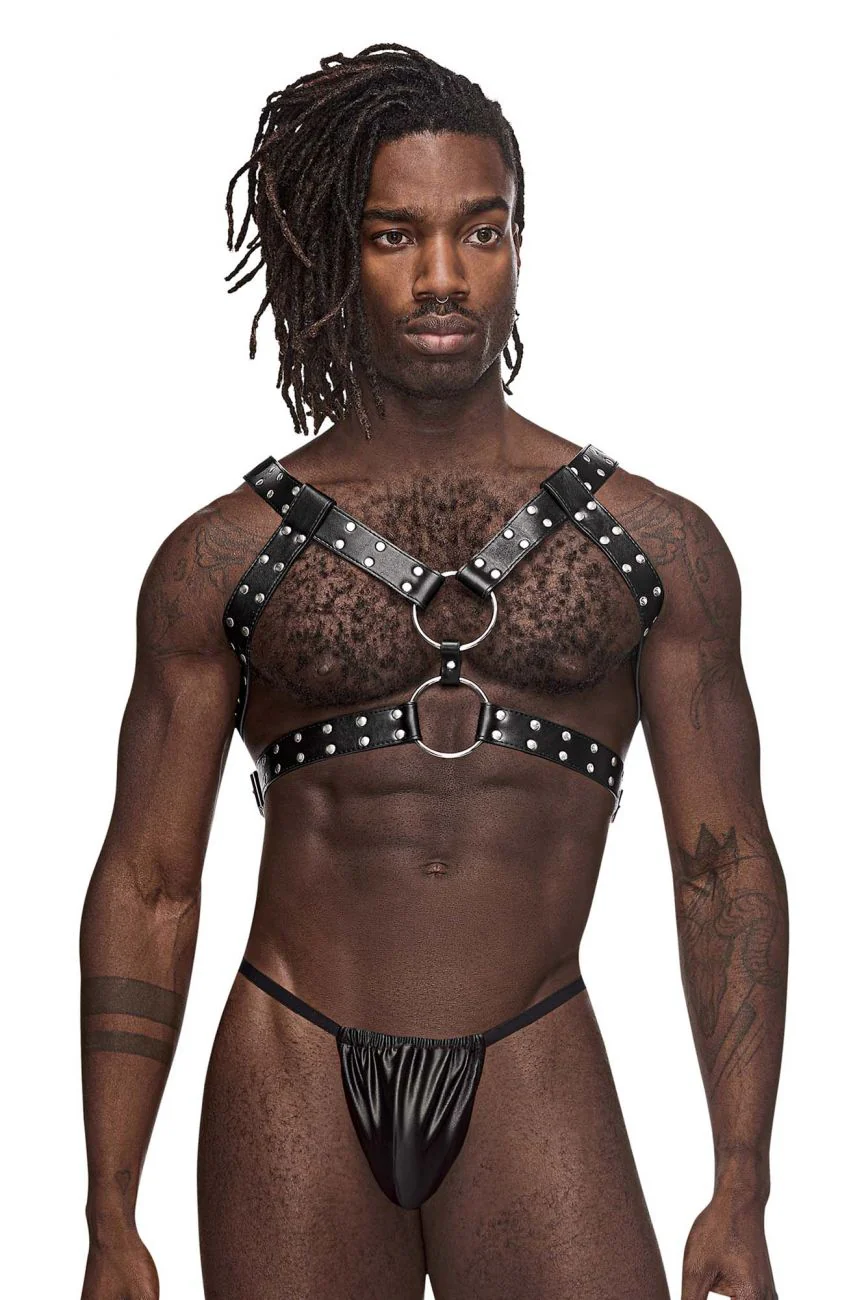 Male Power 591-266 Leather Gemini Harness Color Black - Image 5