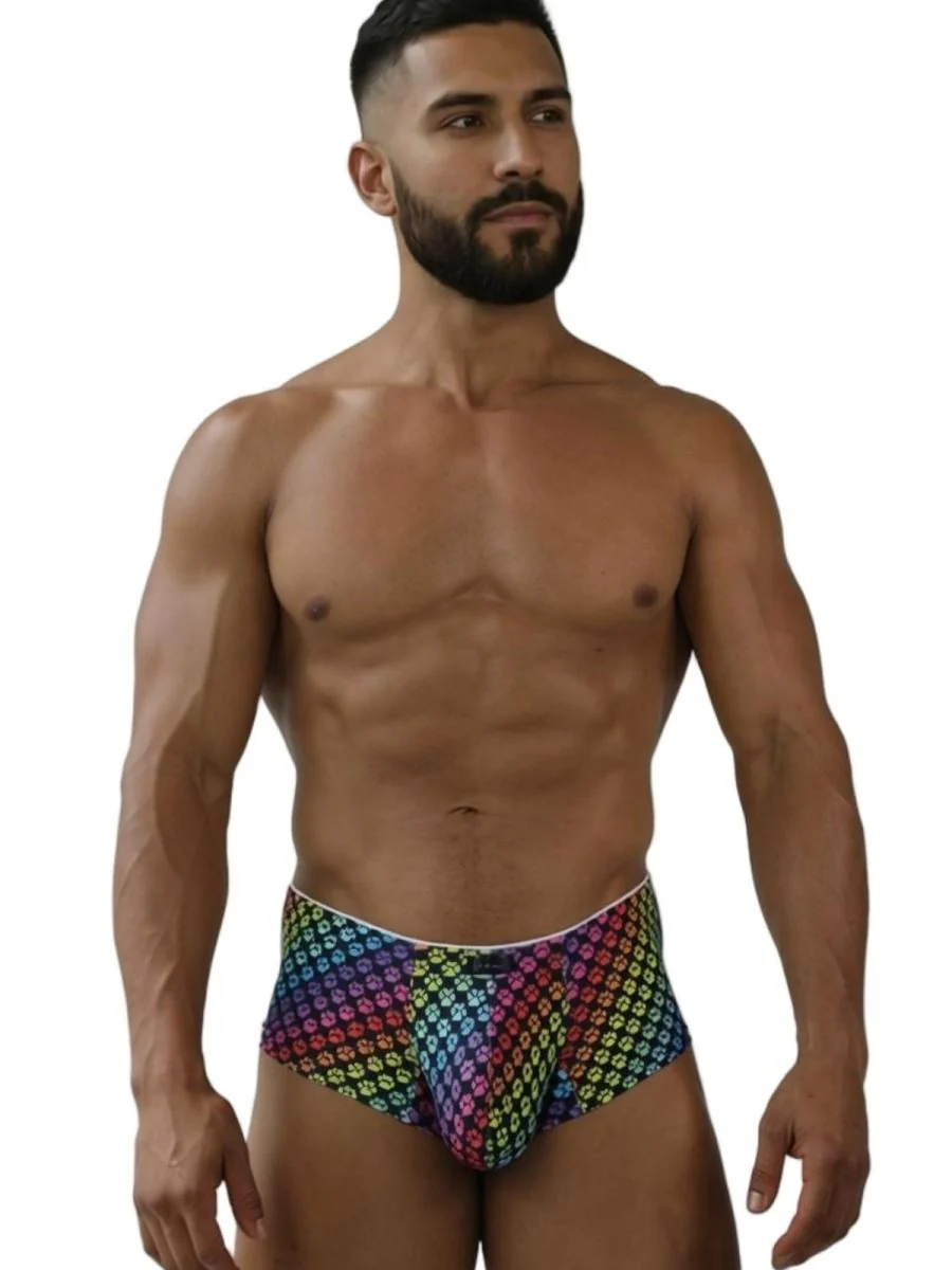 Xtremen 91283 Rainbow Printed Microfiber Briefs Color Paw print - Image 2